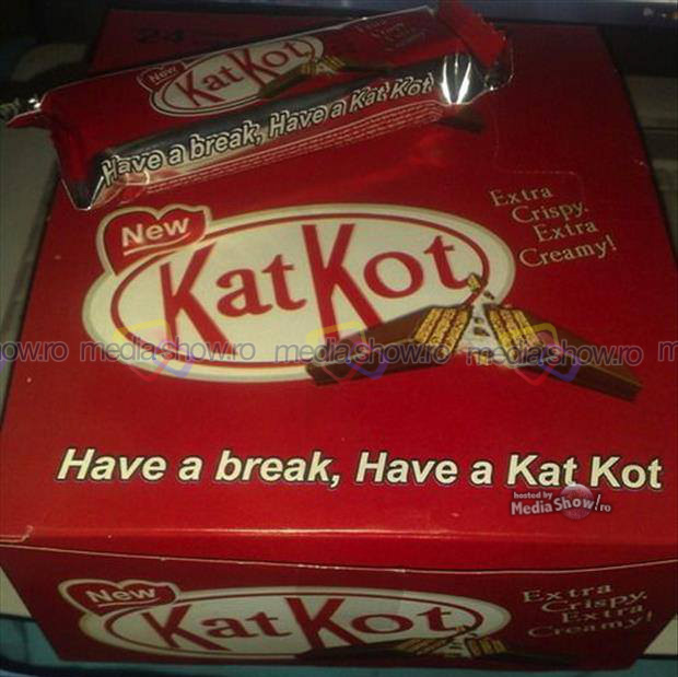 kat kots.jpg
