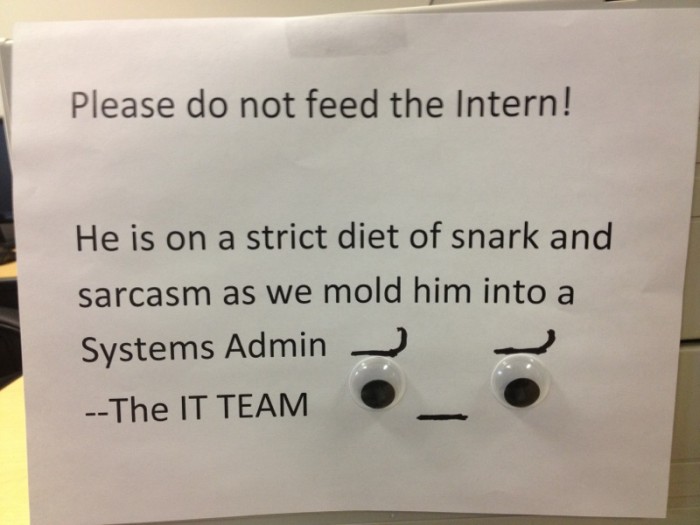 do not feed the intern.jpg