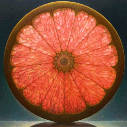 transparent grapefruit.gif