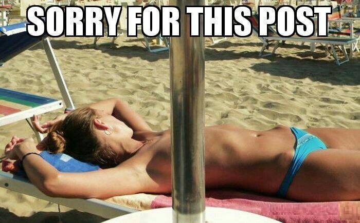 sorry for this post.jpg