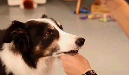 afternoon-013-10072015