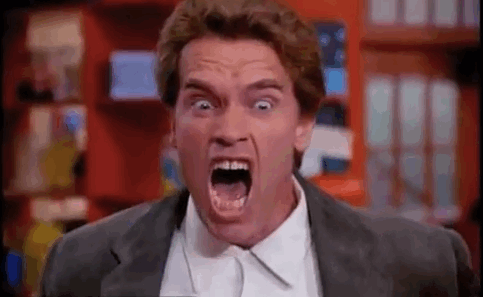 arnold schwarzenegger 5