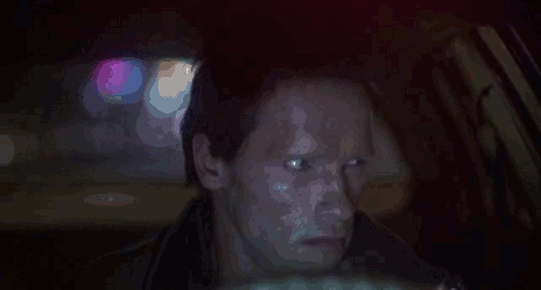 arnold schwarzenegger 6