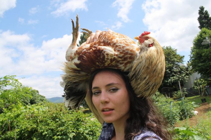 Chicken Hat.jpg