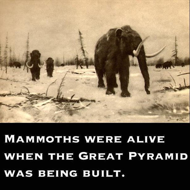 facts-001-08302015