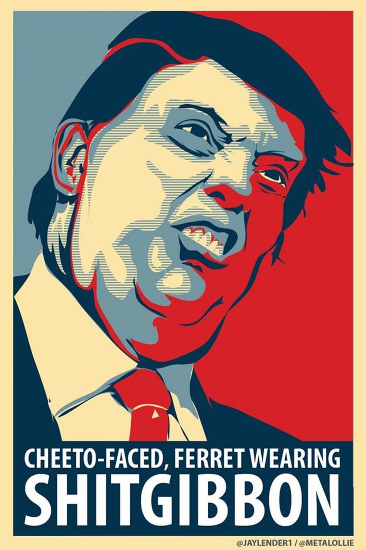 Cheeto-faced, ferret wearingShitGIBBON.jpg