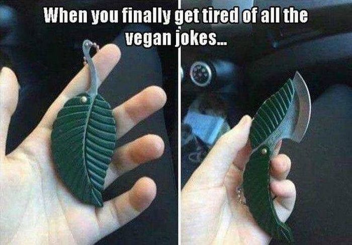 tired of the vegan jokes.jpg