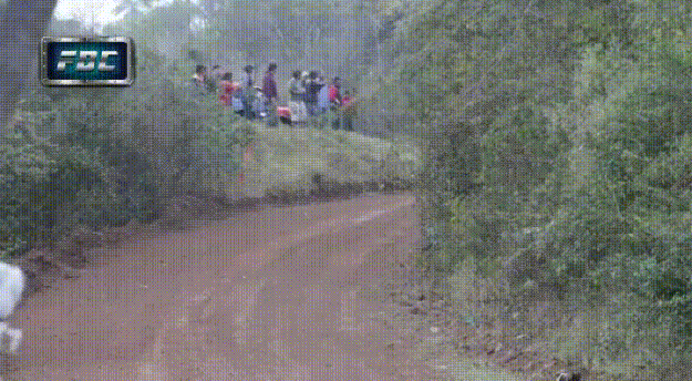 Luckiest-dog-in-the-world