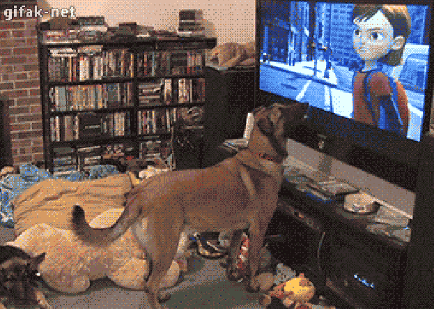 dog Movies-beget-violence