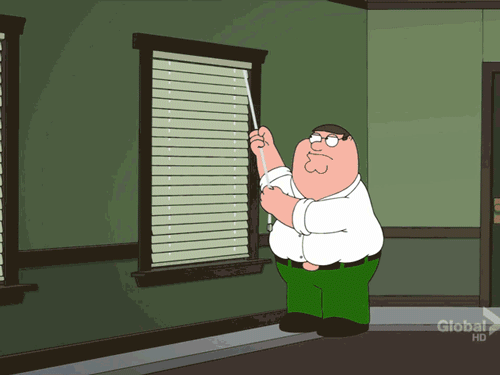 peter BLINDS