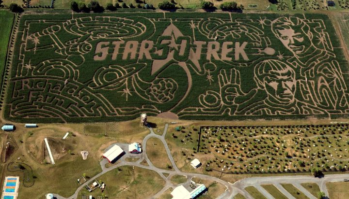 star trek in the maize.jpg