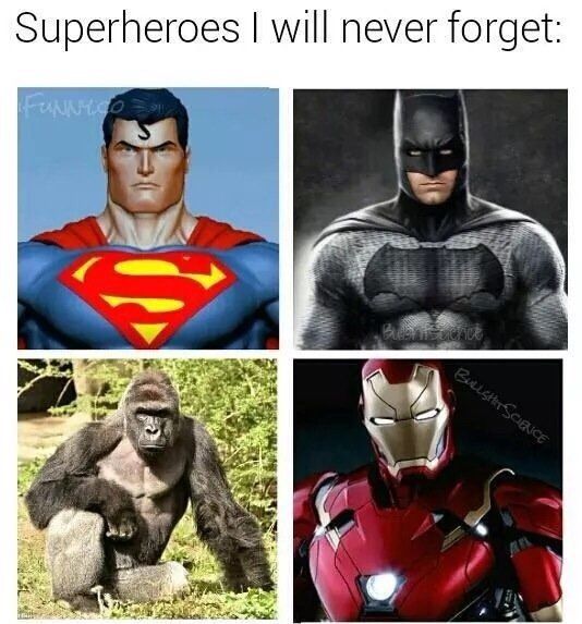 superheroes I will never forget.jpg