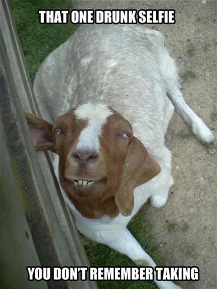 that one drunk selfie.jpg