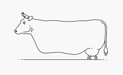 udderly rediculous.gif