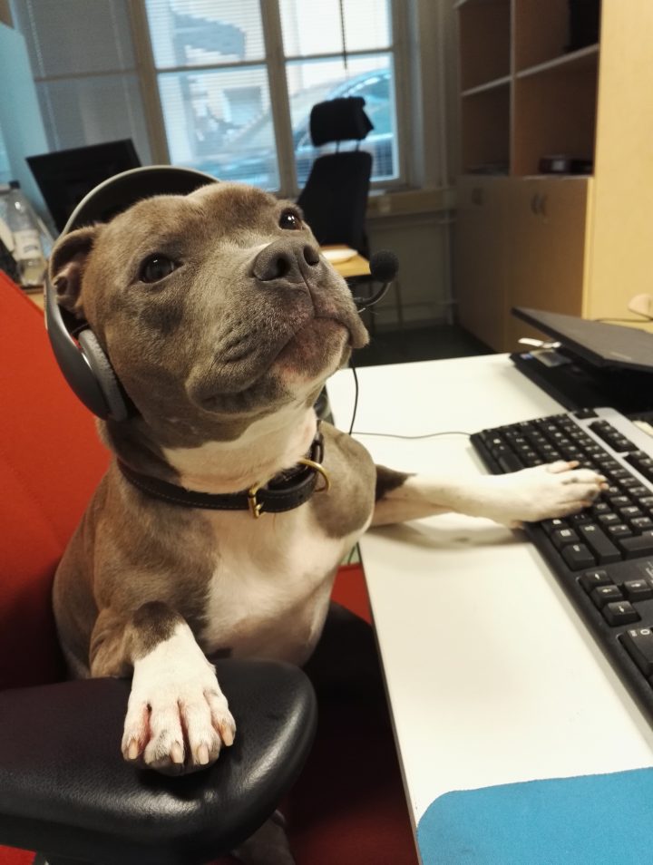 Doggy Tech Support.jpg