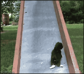 caturday-027-04112014