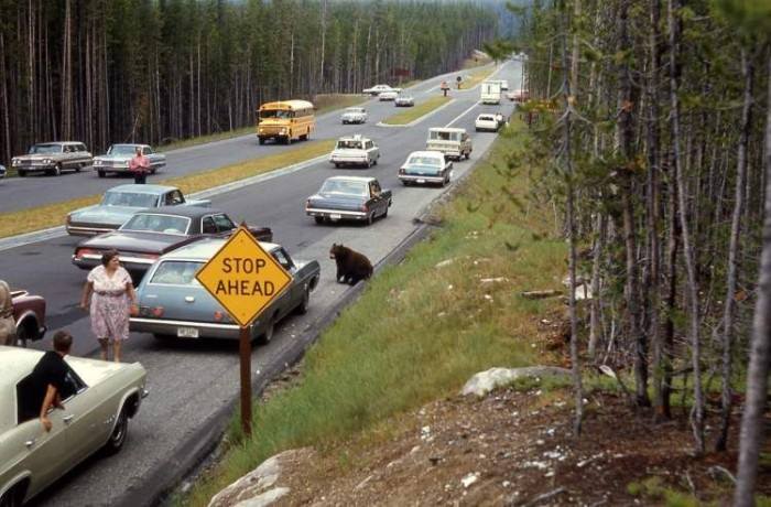 traffic-1233440_565400736840780_518762924_n