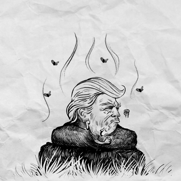 trump-dump