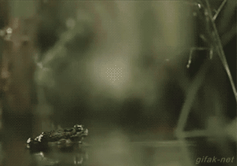 tumblr_nqhs9i51ji1rq1pj8o1_400