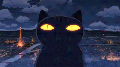 72409-trippy-wtf-funny-anime-cats-cat-awesome-explosion-city-funny