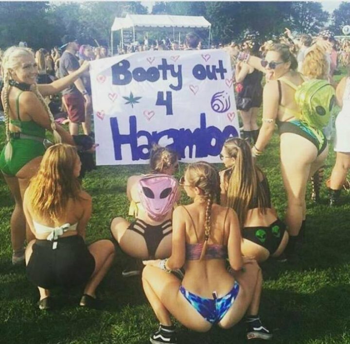 booty out 4 Harambe.jpg