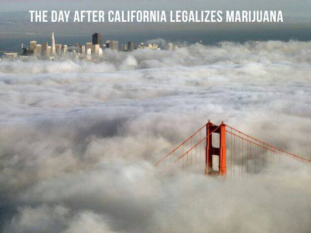 the day after california legalizes marijuana.jpg