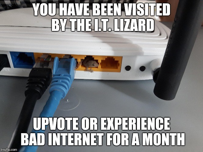 you have been visited by the IT Lizard.jpg