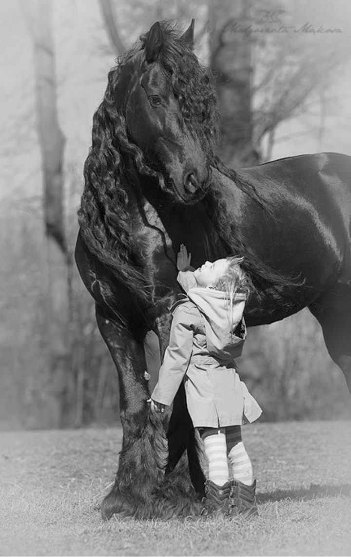 A horse and a girl.jpg