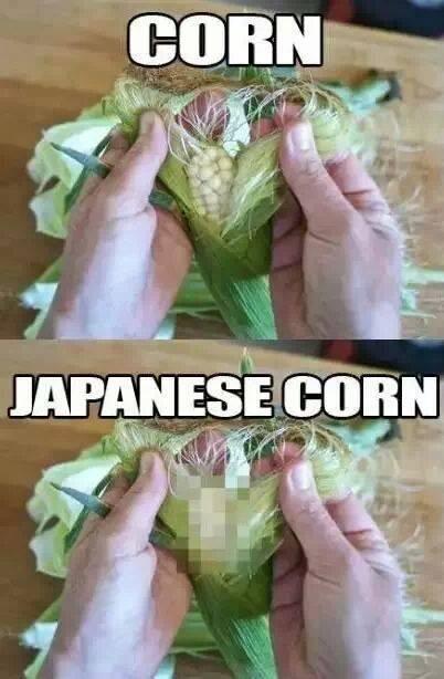 corn vs Japanese corn.jpg