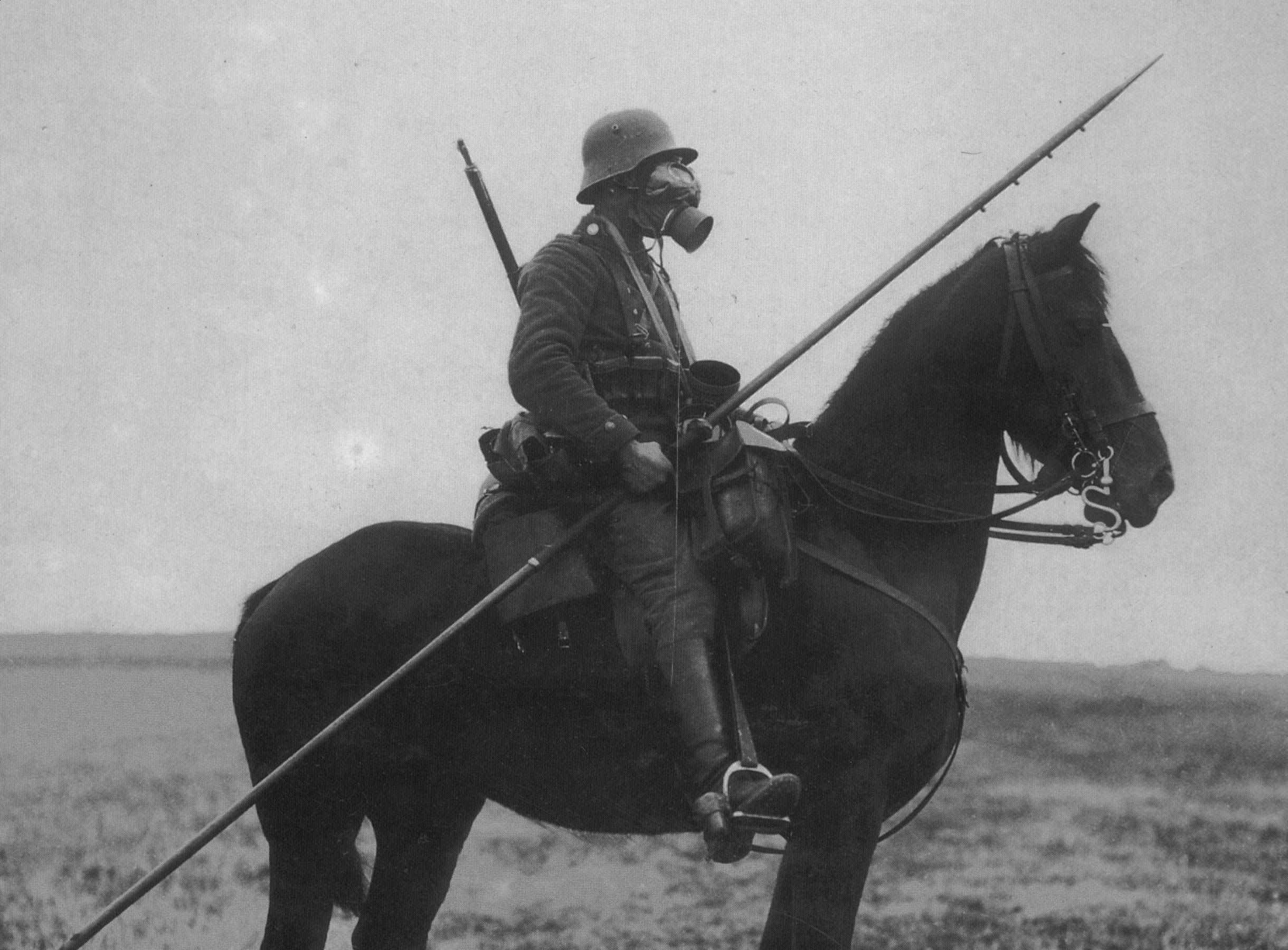 ww2 horse gas mask « MyConfinedSpace