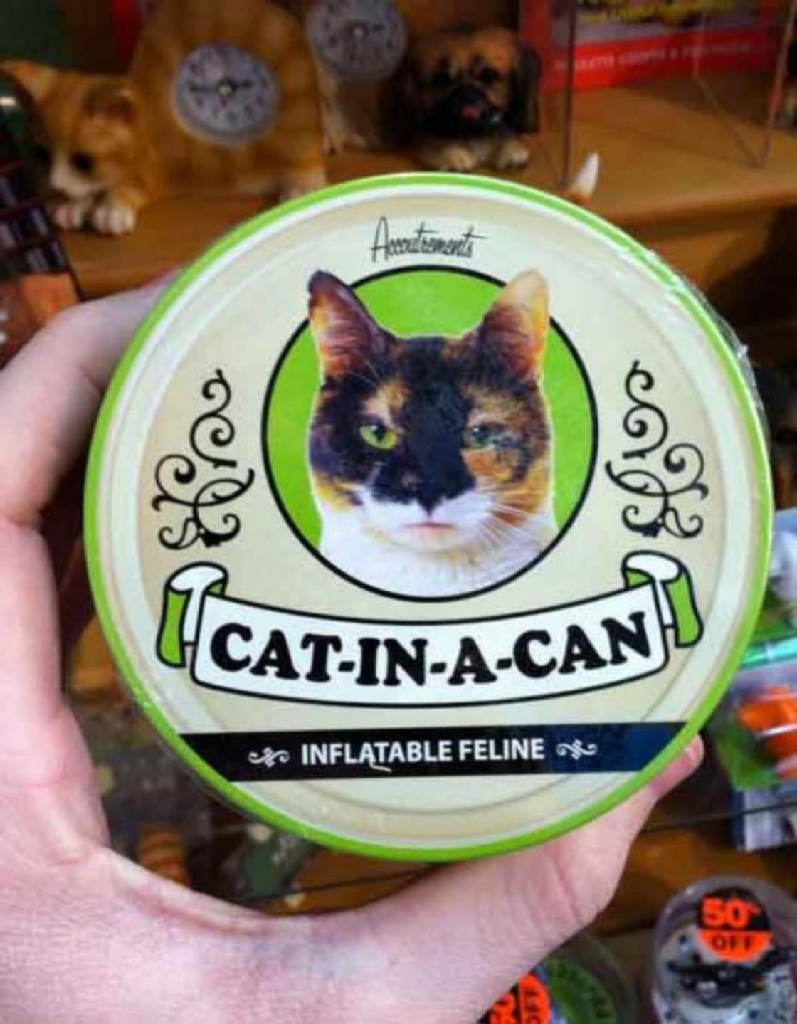 Inflatable Cat - MyConfinedSpace