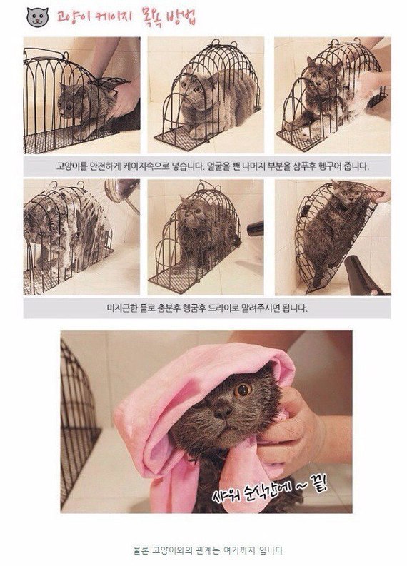 Cat Washing Cage MyConfinedSpace