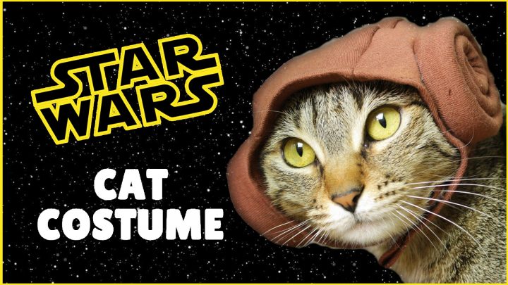 Star Wars Cart Costume