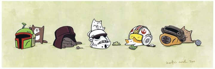 Star Wars Cat Helmets