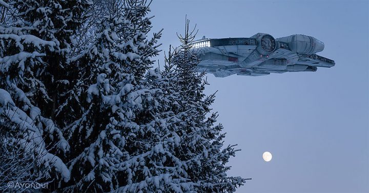 Falcon Over Snow Forest