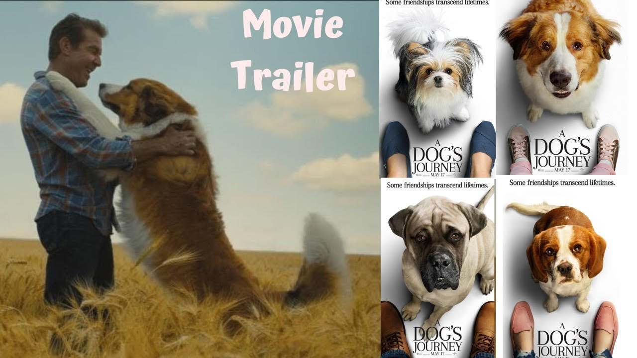 A DOGS JOURNEY 2019 DRAMA MOVIE TRAILER DOGS PURPOSE 2 « MyConfinedSpace