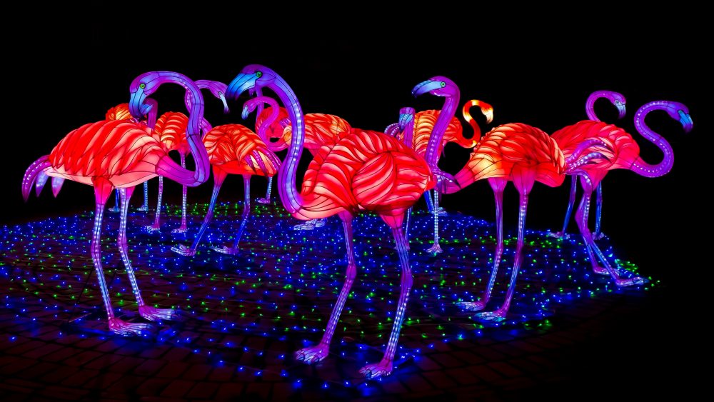 neon flamingos MyConfinedSpace