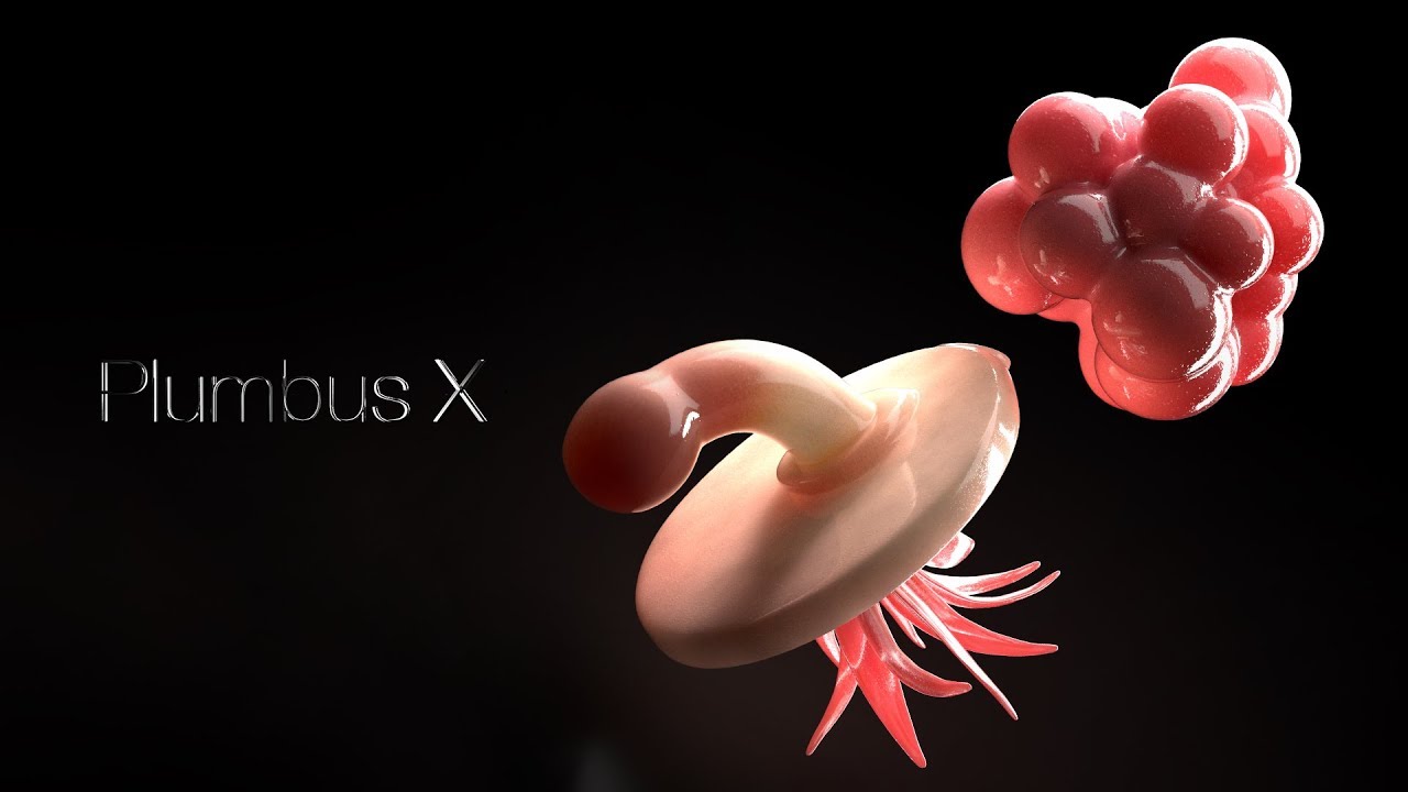 Plumbus X MyConfinedSpace