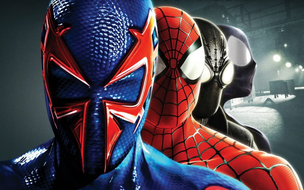 four types of spiders MyConfinedSpace MyConfinedSpace
