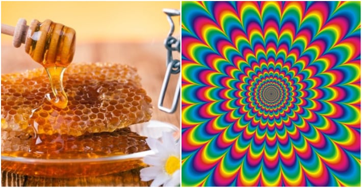 This trippy honey can actually have the same effect on you as LSD