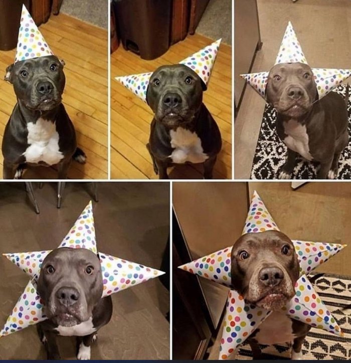 party hats