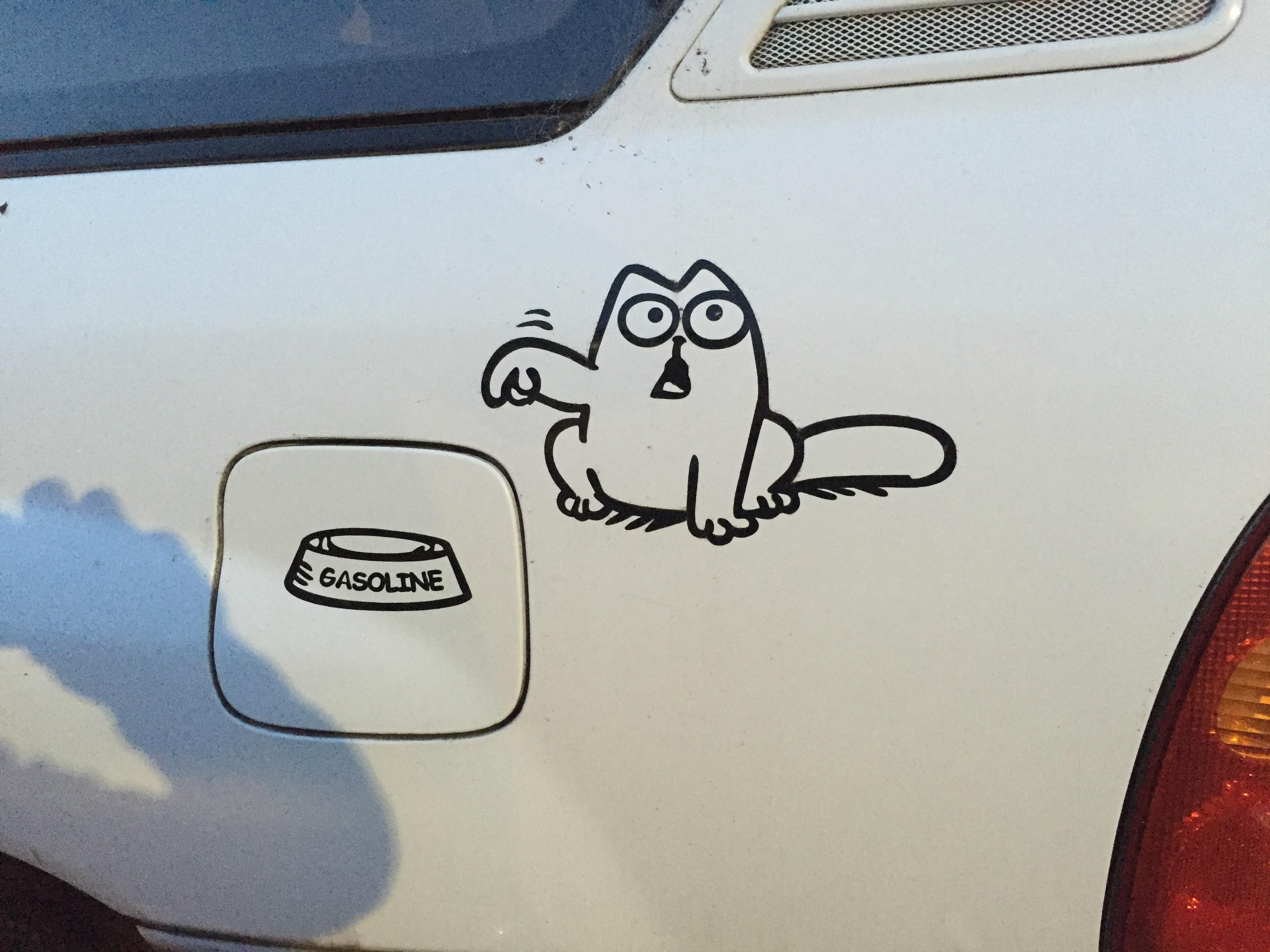 gasoline cat - MyConfinedSpace