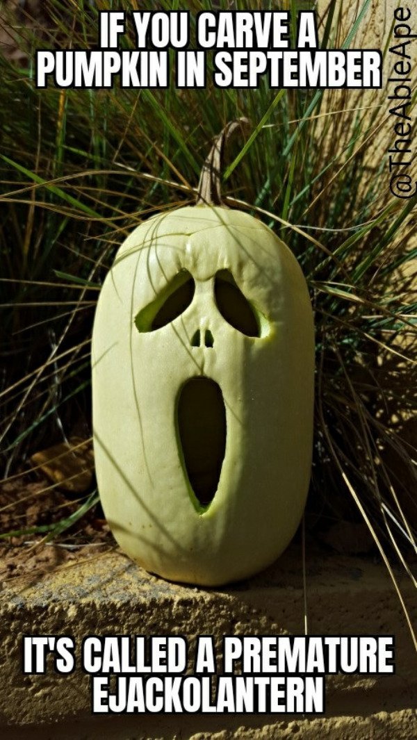 carve a pumpkin in september
