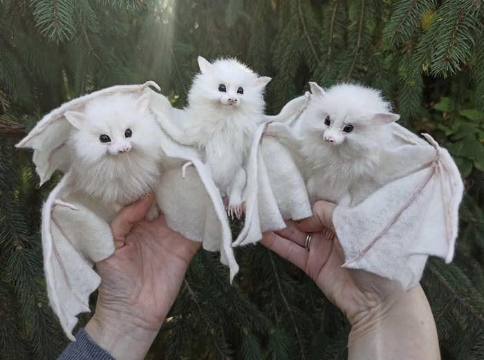 Just an adorable family of rare white bats