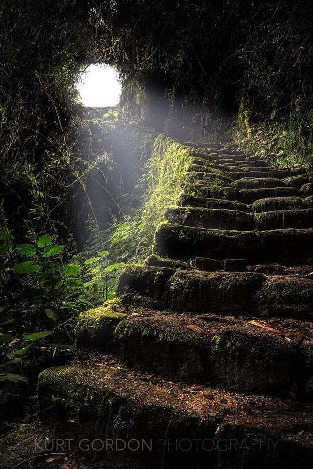 Stairway to Heaven, the ancient Inca Trail leading to Machu Picchu, Peru. Photo: Kurt Gordon