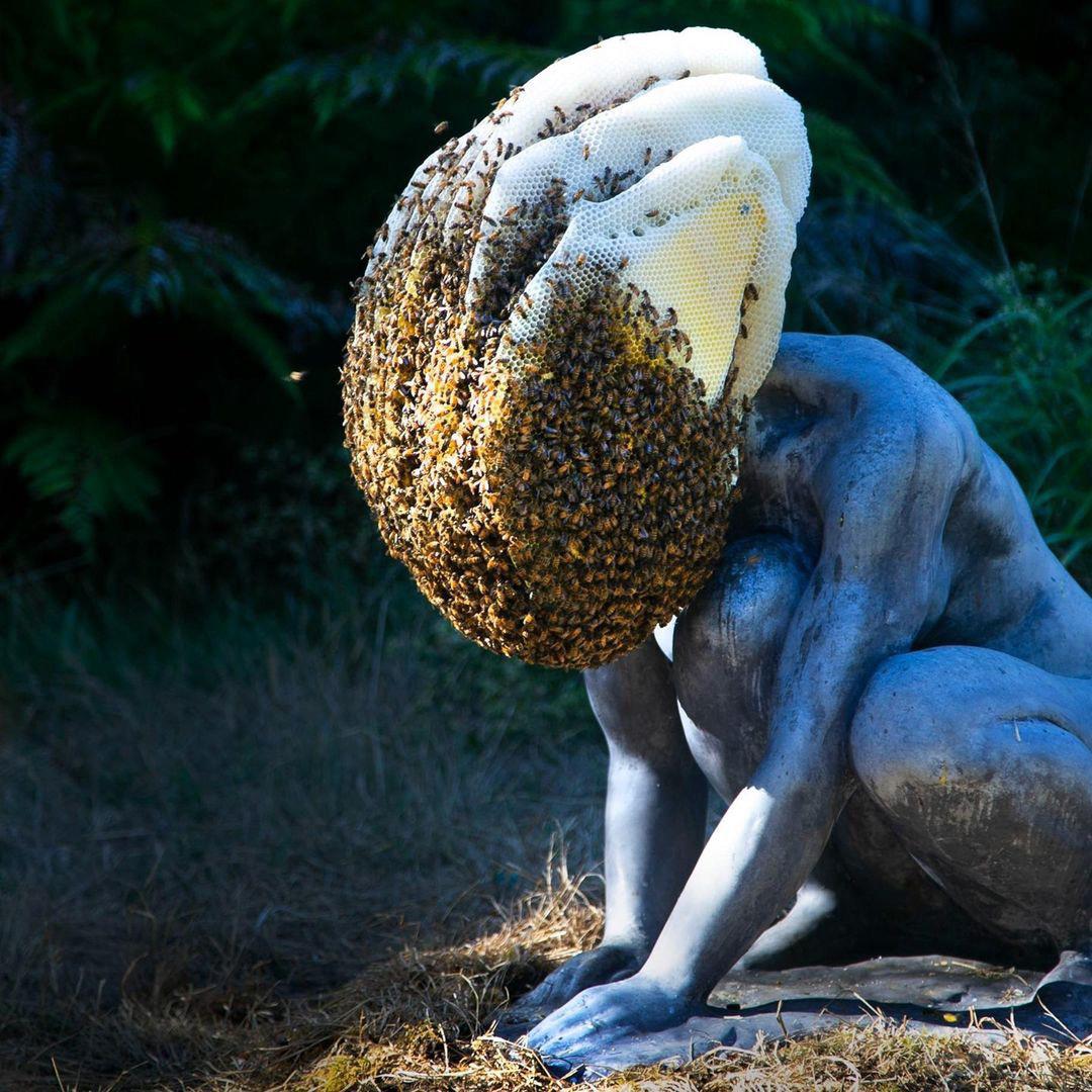 This San Francisco Statue was doubling as a busy Beehive in 2021
