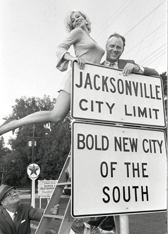 City–county consolidation creating a very large municipal area photo 1