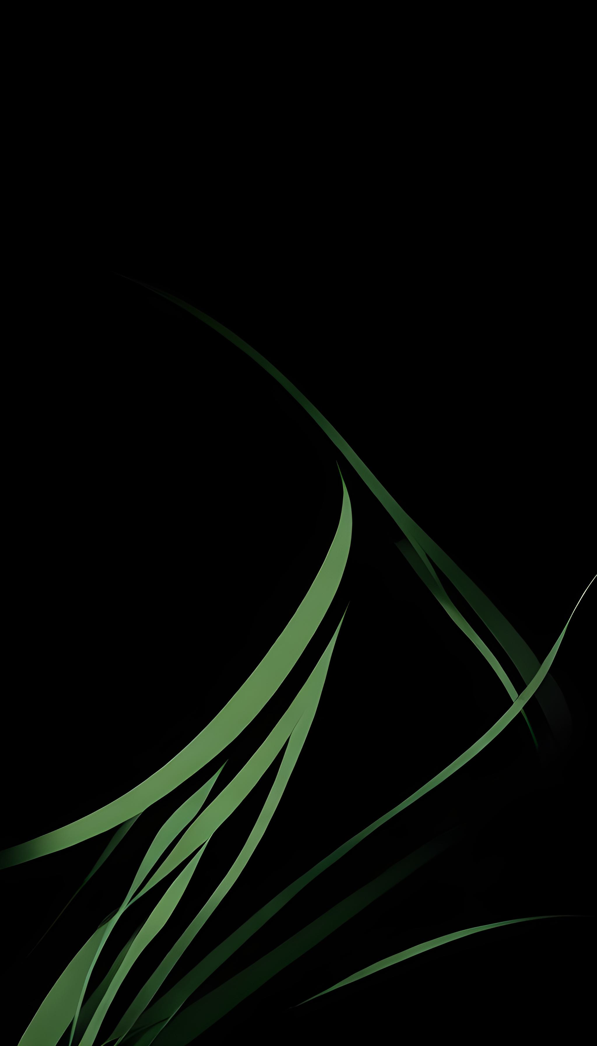 Greenery Minimalistic [2048×3584] - MyConfinedSpace