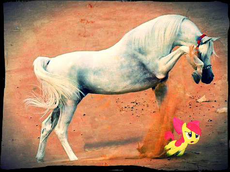 dieponydie.jpg.jpg (106 KB)