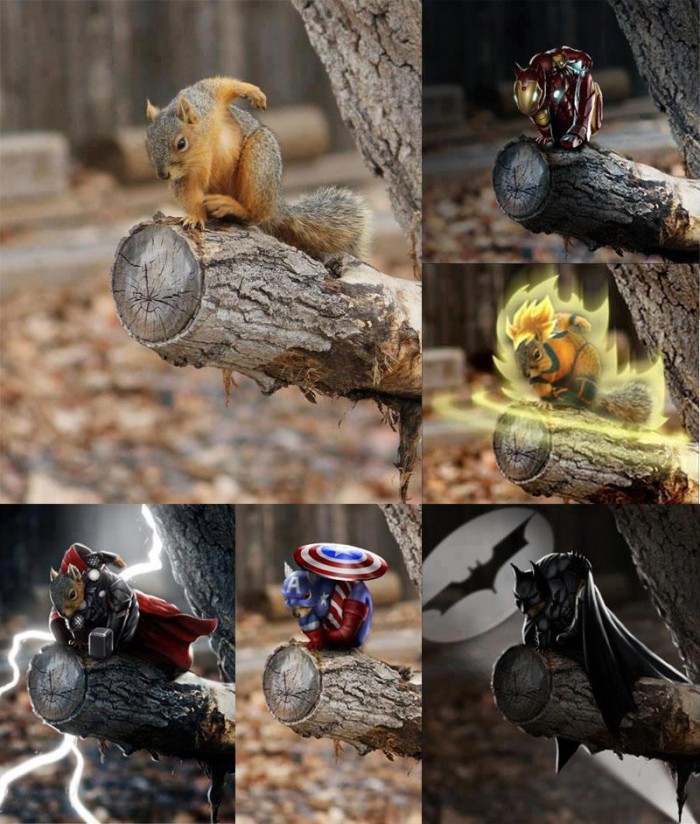 squirrel-heros.jpg (118 KB)